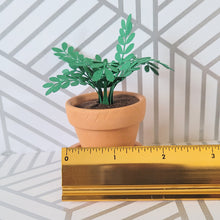 Load image into Gallery viewer, Miniature ZZ Paper Plant, 2 inch Terracotta Pot with Saucer
