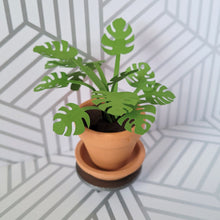 Load image into Gallery viewer, Monstera Paper Plant, 2 inch Terracotta Pot with Saucer
