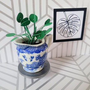 Miniature Pilea Peperomioides Paper Plant, 2 inch Japanese Pitcher