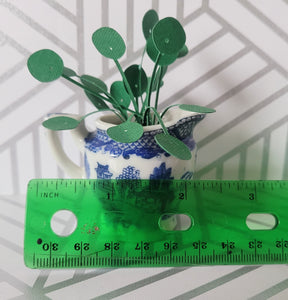 Miniature Pilea Peperomioides Paper Plant, 2 inch Japanese Pitcher