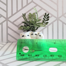 Load image into Gallery viewer, ZZ Plant, 3 inch Miniature Paper Plant in Vintage Cat Planter
