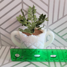 Load image into Gallery viewer, ZZ Plant, 3 inch Miniature Paper Plant in Vintage Milk Glass Planter
