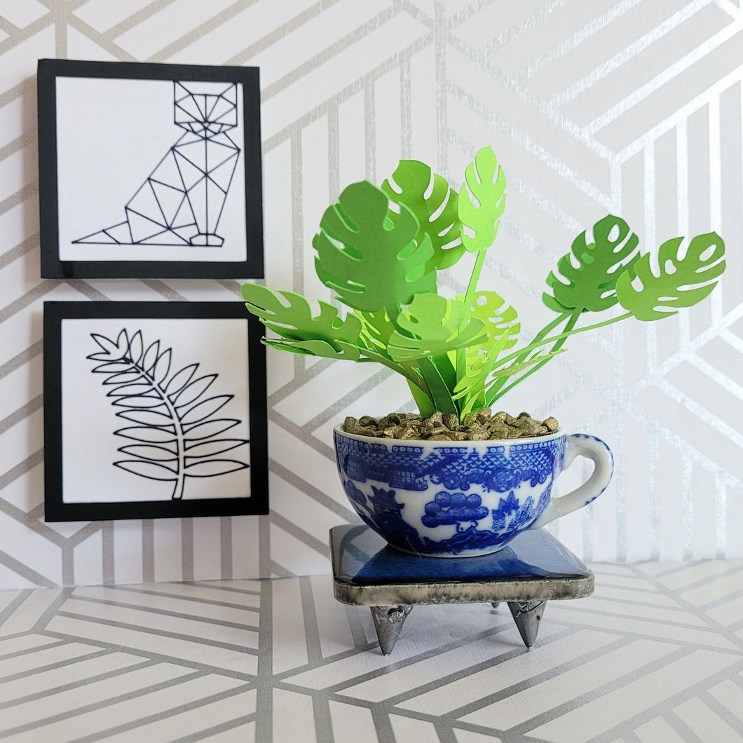 Monstera Paper Plant, 2 inch Japanese Miniature Tea Cup