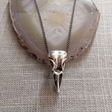 Load image into Gallery viewer, Bird Skull Necklace, Raven Crow Gothic Victorian Halloween Jewelry
