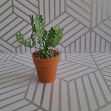 Load and play video in Gallery viewer, ZZ Plant, 3 inch Miniature Paper Plant, Dollhouse Zen Garden Mini
