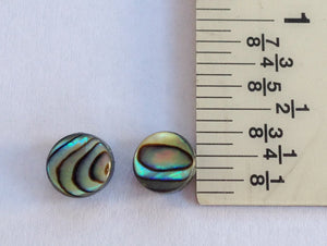 Abalone Shell Stud Earrings - Mermaid Jewelry - Abalone Shell Post Earrings - Lead and Nickel Free Stud Earrings
